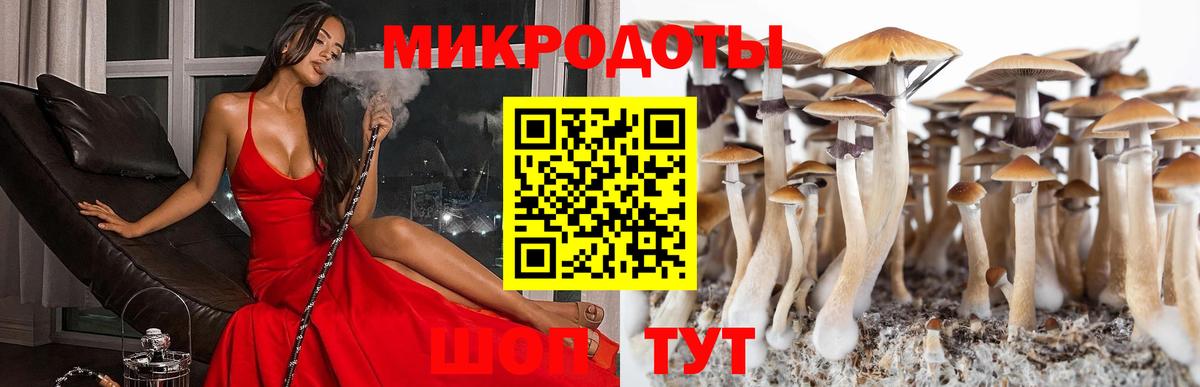 Псилоцибиновые грибы мицелий Дербент